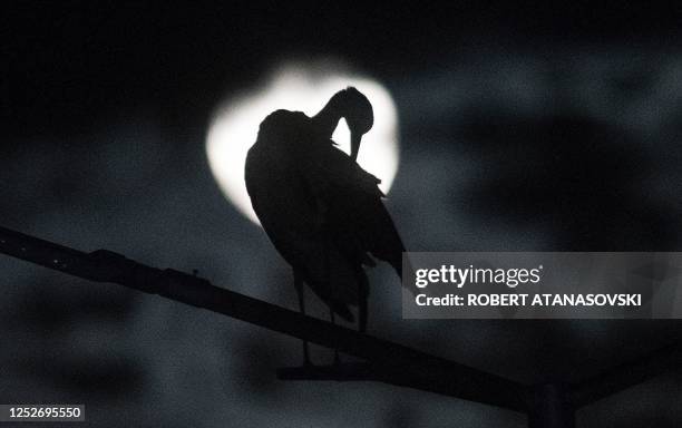 Stork is seen behind the full moon also known as May's Full Flower Moon over the village of Rzanicino near Skopje, on May 5, 2023. On the night of...