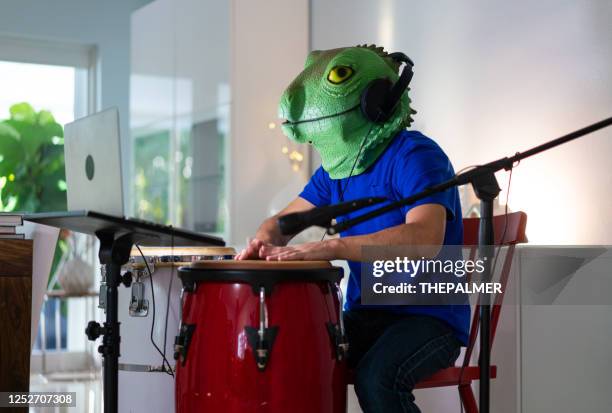 playing congas during a video call wearing a lizard mask - resourceful stock pictures, royalty-free photos & images