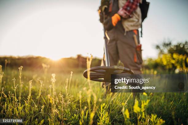 senior man looking for treasures with the metal detector - treasure hunt stock pictures, royalty-free photos & images