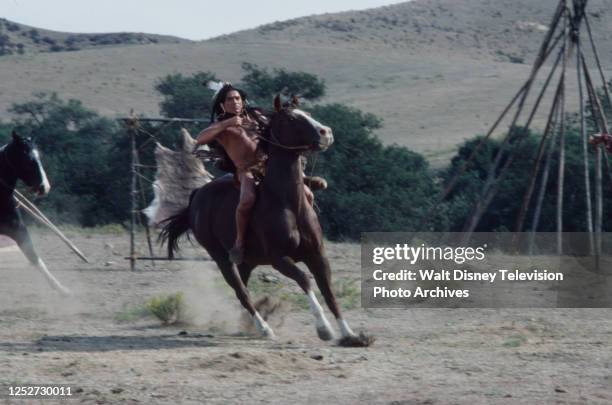 Nick Ramus Image 191 Nick Ramus Stock Photos, High-Res Pictures, and Images - Getty Images