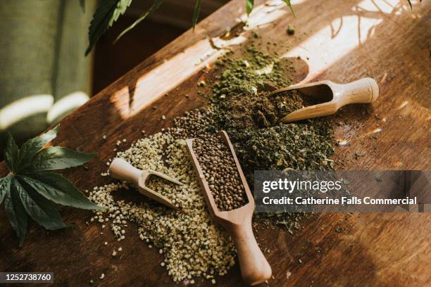 hemp powder, crushed and whole seeds and dried leaves - hemp seed fotografías e imágenes de stock