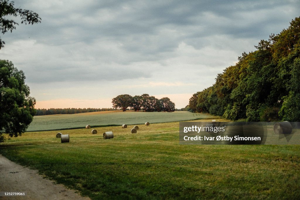 Hay bales on green field in sunset