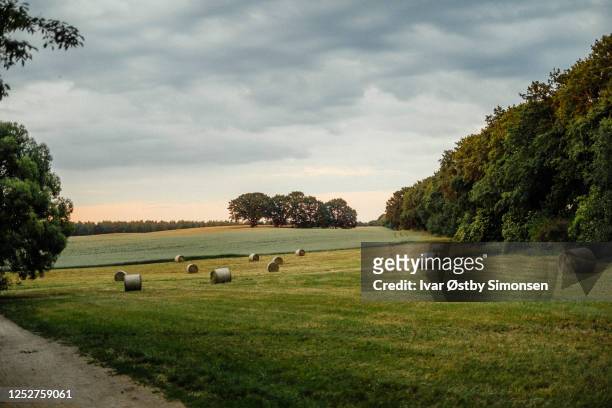 hay bales on green field in sunset - bale stock pictures, royalty-free photos & images