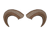 Big horns of ram over white background