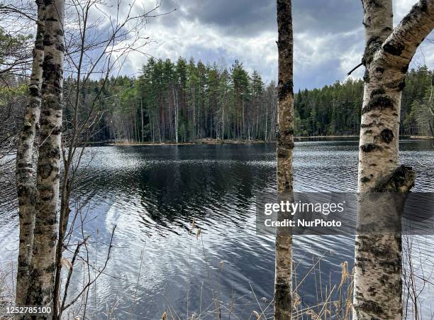 Nuuksio National Park is within easy reach of Helsinki where you can escape into wild natural settings and enjoy typical Finnish scenery with lakes,...