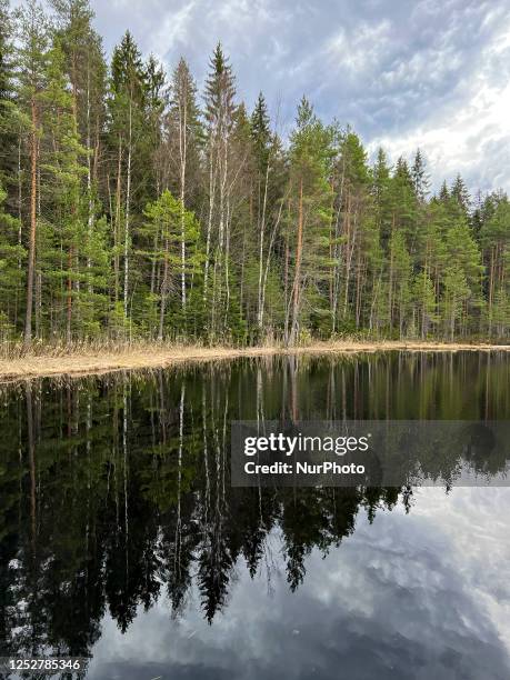 Nuuksio National Park is within easy reach of Helsinki where you can escape into wild natural settings and enjoy typical Finnish scenery with lakes,...