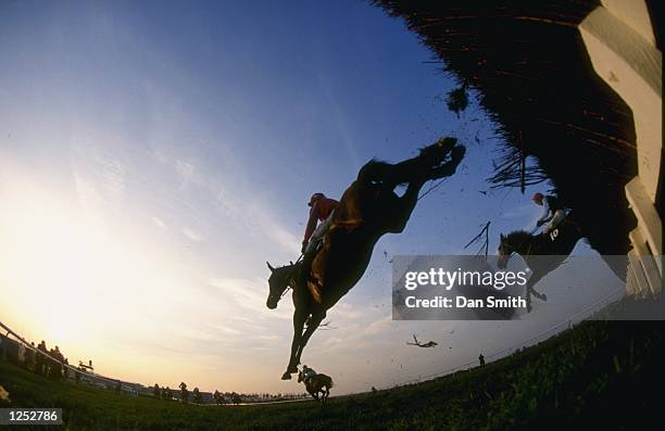 horse racing - day at the races stock pictures, royalty-free photos & images