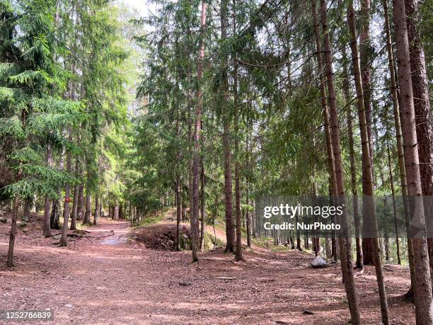 Nuuksio National Park is within easy reach of Helsinki where you can escape into wild natural settings and enjoy typical Finnish scenery with lakes,...