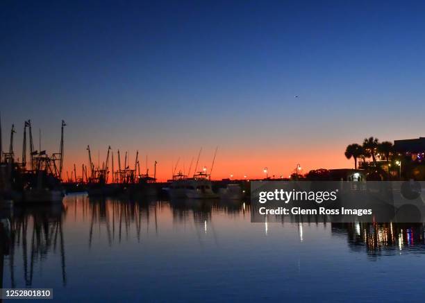 shrimp boats blue hour at shem creek - shrimp boat stock pictures, royalty-free photos & images