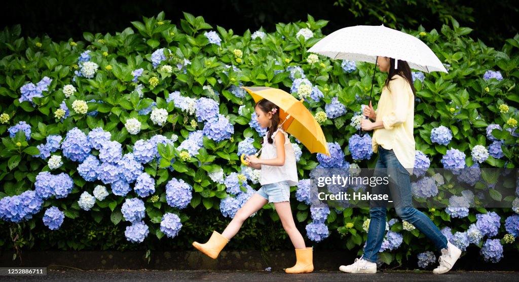 Mother and daughter walking together on the hydrangea road