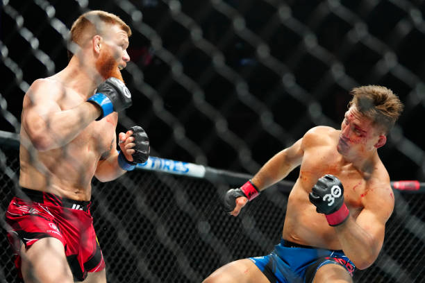 Matt Frevola punches Drew Dober in a Lightweight bout during UFC 288: Sterling versus Cejudo on May 6 at Prudential Center in Newark, NJ.