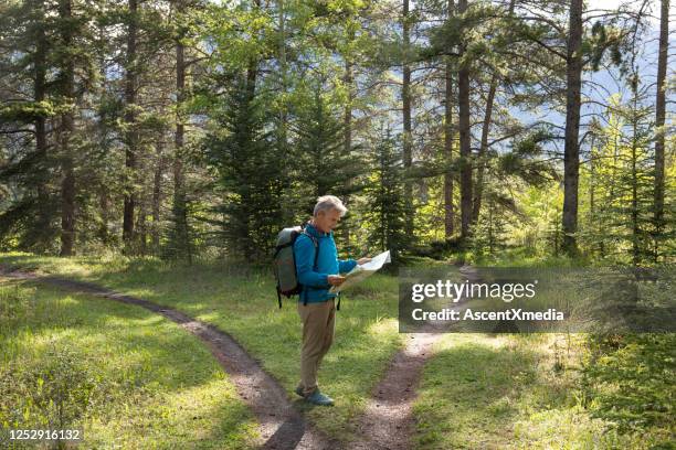 el excursionista se detiene en el sendero boscoso bifurcado y busca el mapa de la dirección - encrucijada en el camino fotografías e imágenes de stock