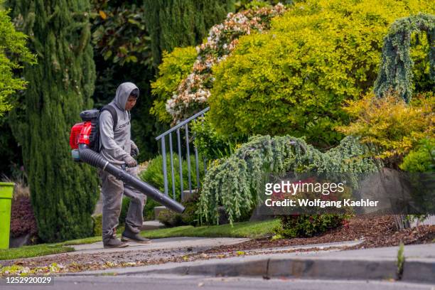 Gardening service is using gas-powered leaf blowers to blow off debris from sidewalks in Kirkland, Washington State, USA.
