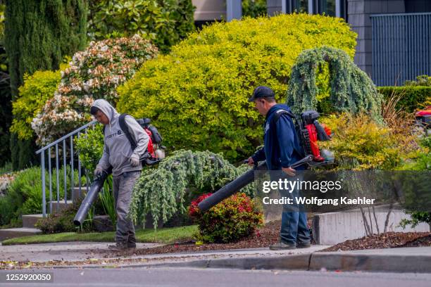 Gardening service is using gas-powered leaf blowers to blow off debris from sidewalks in Kirkland, Washington State, USA.