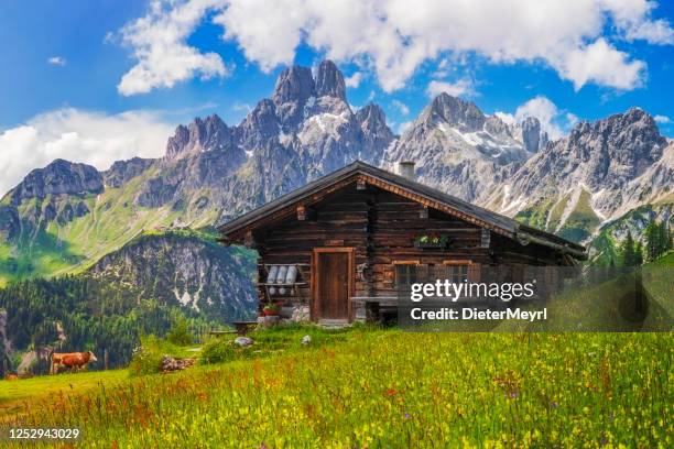 alpine scenery with mountain chalet in summer - cottage stock pictures, royalty-free photos & images