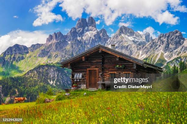 alpine scenery with mountain chalet in summer - cabana de madeira imagens e fotografias de stock