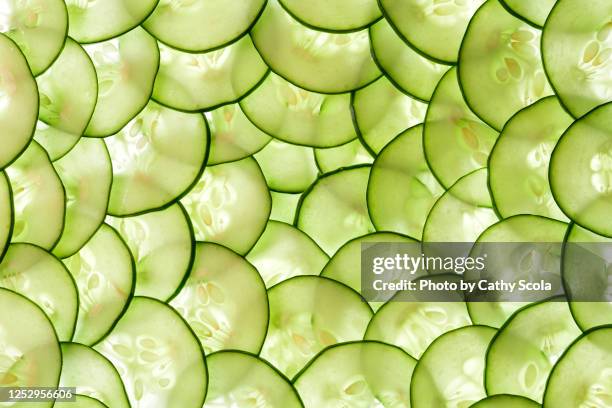 cucumber - cucumber stock-fotos und bilder