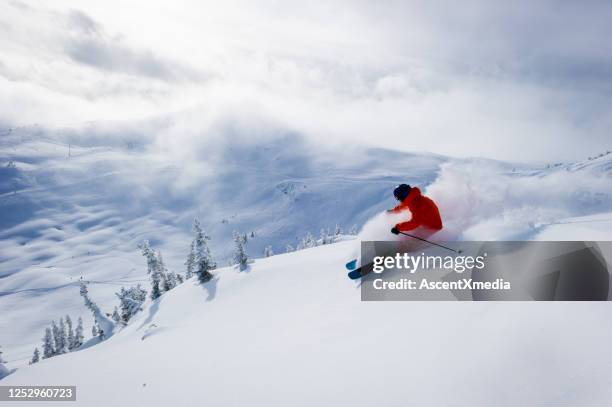 sciare polvere fresca durante una vacanza sugli sci - ski foto e immagini stock
