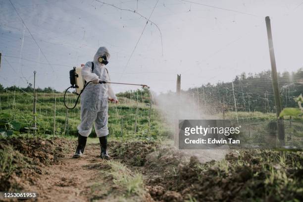 an asian chinese female farmer with protective suit spraying on bitter groud plants in the farm for disinfection - poisonous stock pictures, royalty-free photos & images