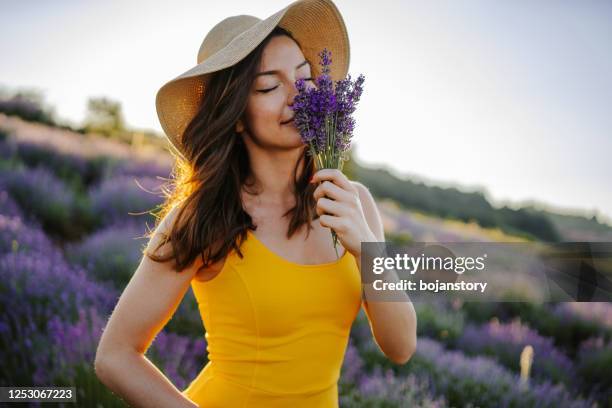 enjoying summer day in lavender field - aromatherapy stock pictures, royalty-free photos & images