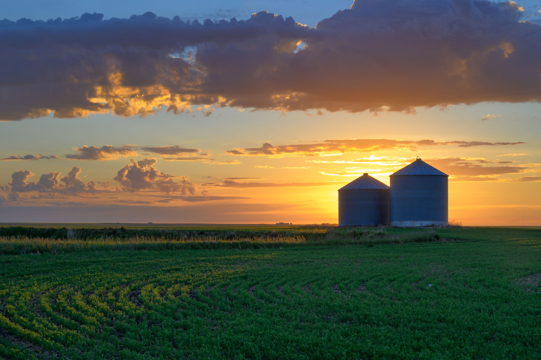 farm sunrise
