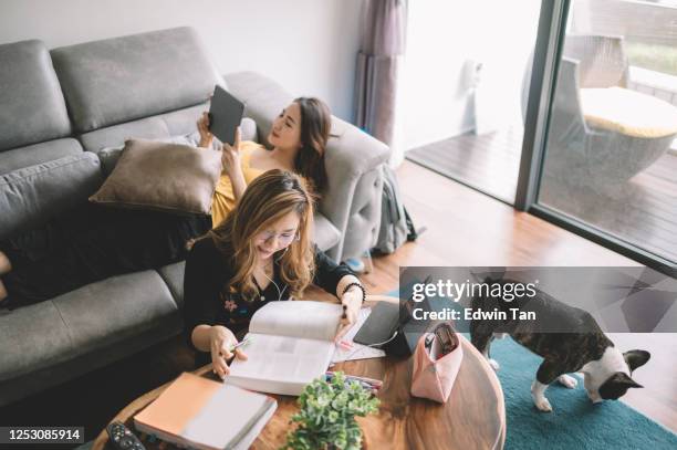 an asian chinese sister friends in living room spending time together - chinese bulldog stock pictures, royalty-free photos & images