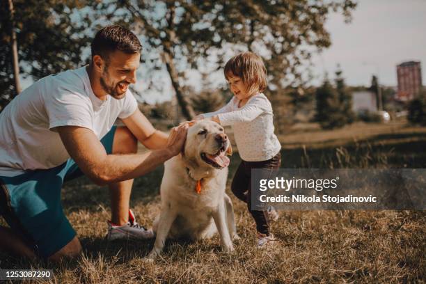 família jovem com um cachorro - parque natural - fotografias e filmes do acervo