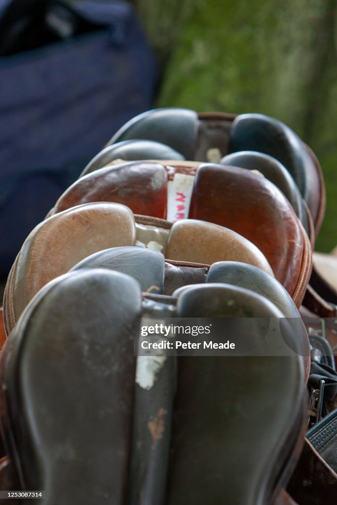 Saddles ready for polo