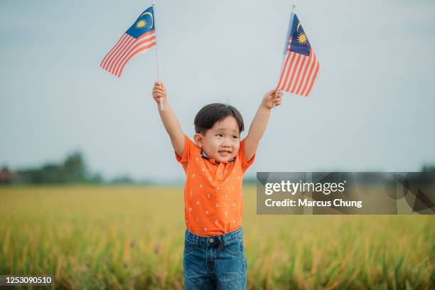 asiatico cinese sorridente giovane ragazzo mano alzato e sventolando con bandiera malese al campo padi durante la luce del sole del mattino - malaysia independence day foto e immagini stock
