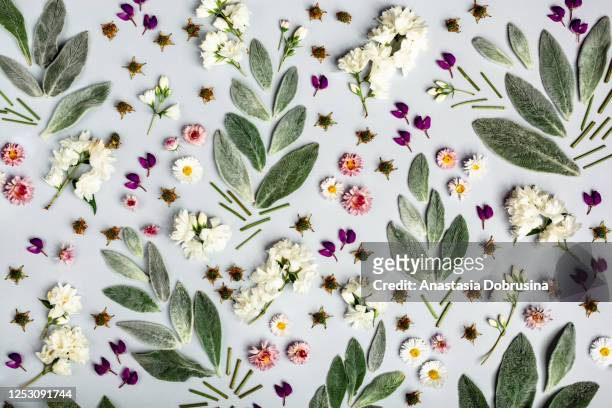 8,350 Pink Jasmine Flower Photos and Premium High Res Pictures - Getty  Images