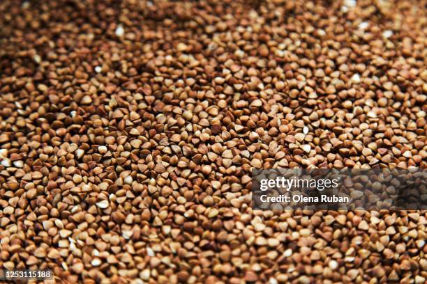 close-up background of beautiful brown buckwheat grains - buckwheat fotografías e imágenes de stock