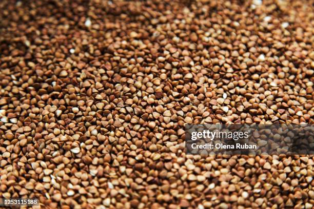 close-up background of beautiful brown buckwheat grains - boekweit stockfoto's en -beelden