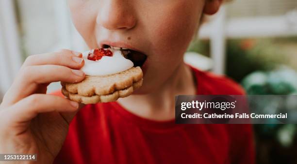 boy eating a german biscuit - sugar stockfoto's en -beelden