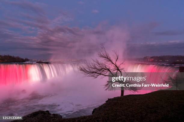 horseshoe falls lit up at night - niagara falls canada stock pictures, royalty-free photos & images