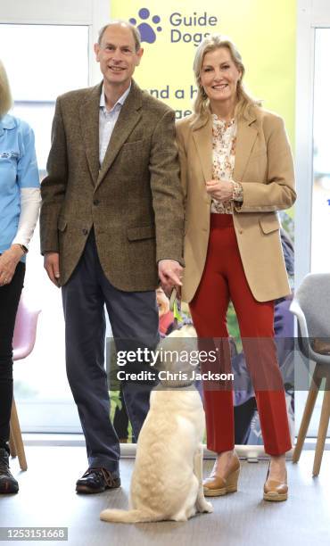 Prince Edward, Duke of Edinburgh and Sophie, Duchess of Edinburgh take part in a puppy class at the Guide Dogs for the Blind Association Training...
