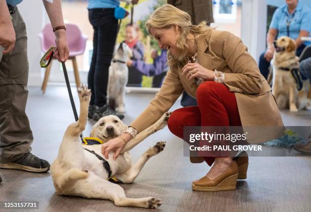 Britain's Sophie, Duchess of Edinburgh makes a friend as she takes part in the Big Help Out, visiting a puppy class at the Guide Dogs for the Blind...