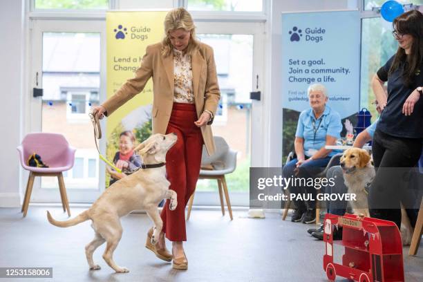 Britain's Sophie, Duchess of Edinburgh takes part in the Big Help Out, visiting a puppy class at the Guide Dogs for the Blind Association Training...