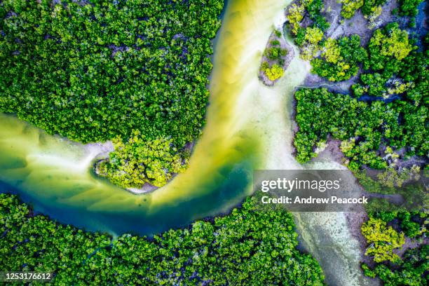 eine ansicht eines mangroven-ökosystems in der great sandy region in der nähe von tin can bay - australia aerial stock-fotos und bilder