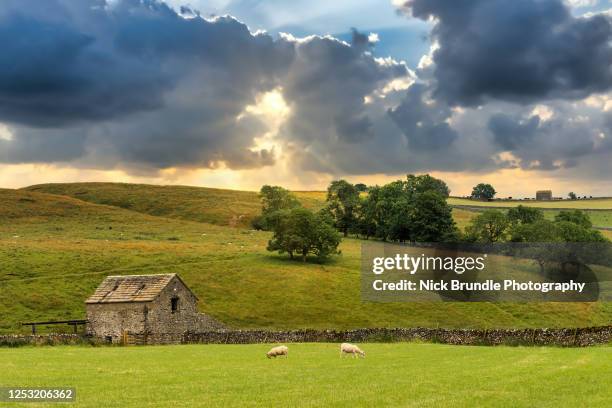 yorkshire dales, england - yorkshire dales 個照片及圖片檔