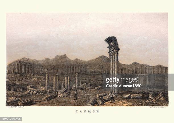 ruinen von palmyra (tadmor) syrien 19. jahrhundert - palmera stock-grafiken, -clipart, -cartoons und -symbole