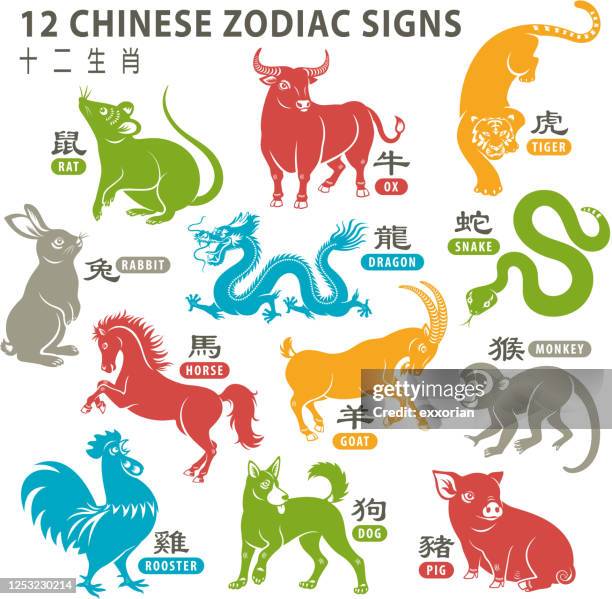 illustrations, cliparts, dessins animés et icônes de 12 signes du zodiaque chinois - écriture chinoise