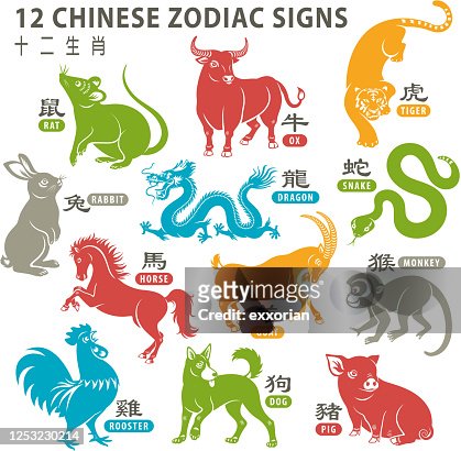 129 12 Chinese Zodiac Signs Photos and Premium High Res Pictures - Getty  Images