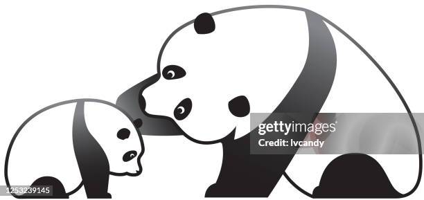 pandas - panda stock illustrations