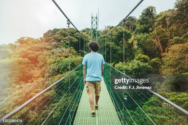 man walking on suspension bridge in monteverde, costa rica - モンテベルデ雲林保護区 ストックフォトと画像