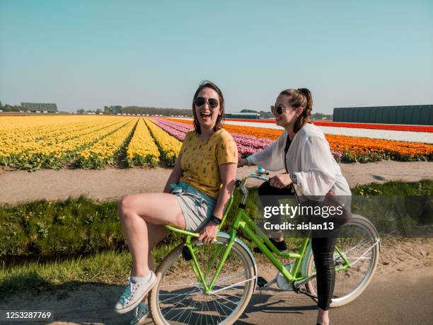 happy girls with their ride bike in front of beautiful dutch tulip field in full harvest season - tulips amsterdam stock pictures, royalty-free photos & images