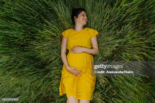 in the meadow - pregnant imagens e fotografias de stock