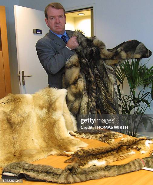 European deputy Struan Stevenson of Scotland shows 19 November 2002 dog and cat furs from Asia in his office at the European Parliament in the...