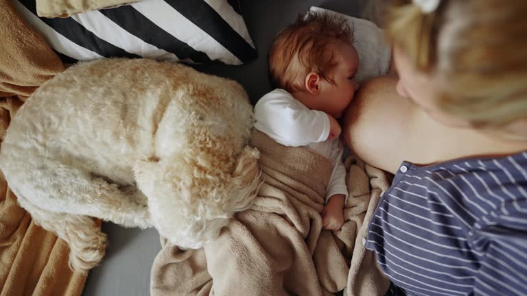 42 Woman Breastfeeding Animals Videos and HD Footage - Getty Images 42 Woman Breastfeeding Animals Videos and HD Footage - Getty Images