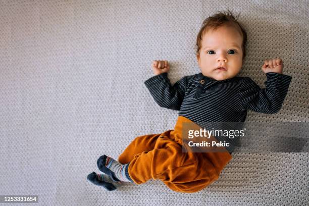 ritratto di adorabile bambino - soltanto un neonato maschio foto e immagini stock