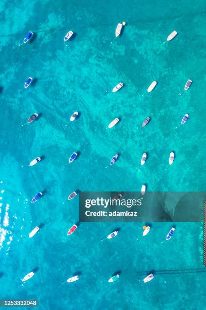 boats docked in lake tahoe in california - tahoe spring stock pictures, royalty-free photos & images